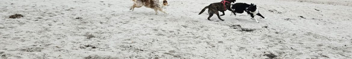 095de0eb-792d-40e3-813f-2c83a417aac4