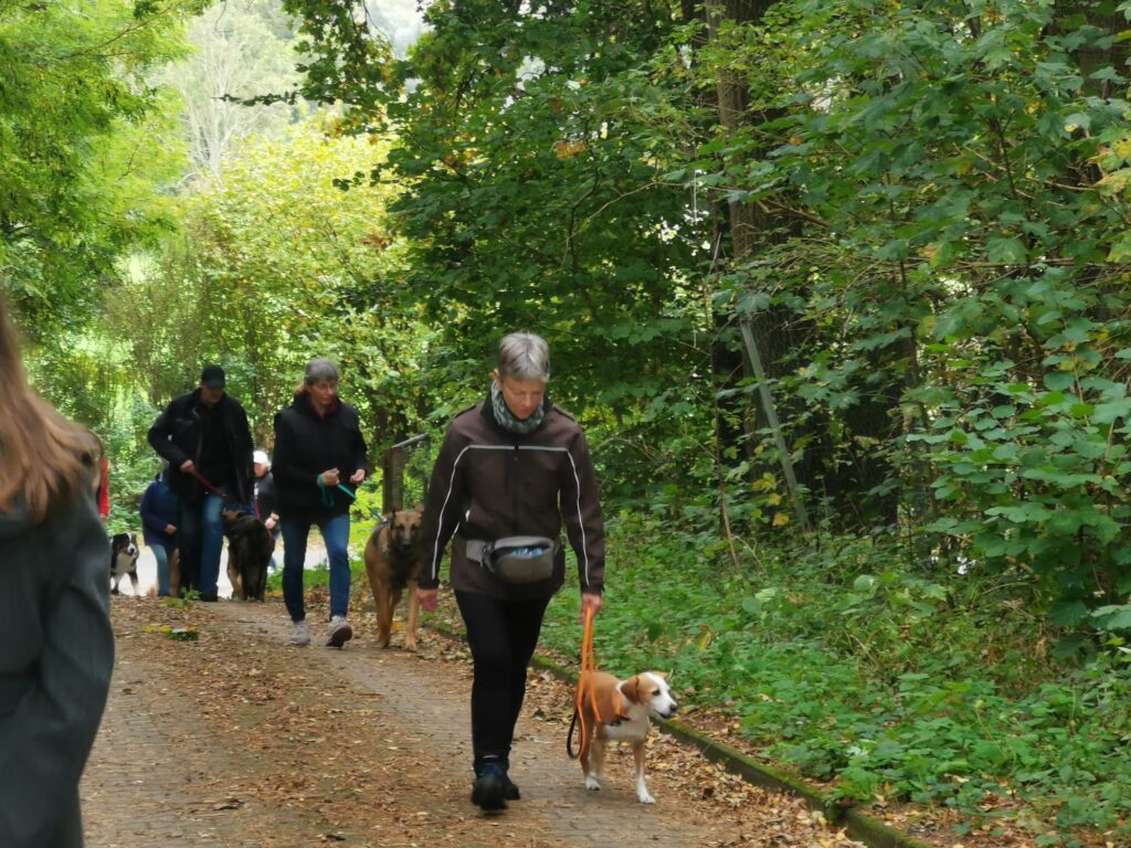 Auf dem Weg zum Strassenteil